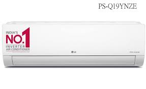 Organic Vegetable Box